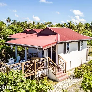 Va'a I Te Moana Avatoru